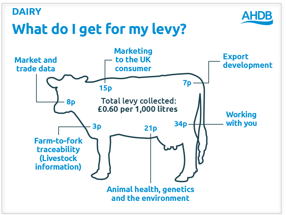Infographic showing how dairy levies are invested